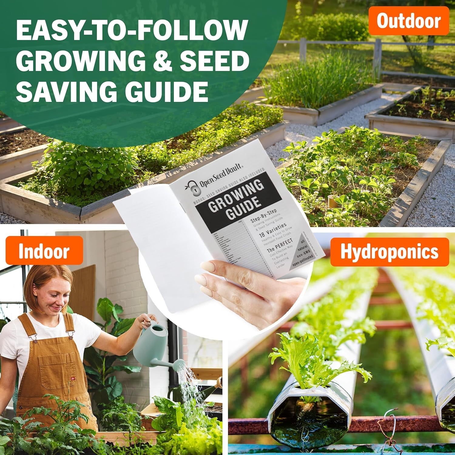 15,000 Heirloom Seeds Non GMO Vegetable and Fruit Seeds for Planting Outdoor & Indoor - 18 Variety Pack of Survival Garden Seeds
