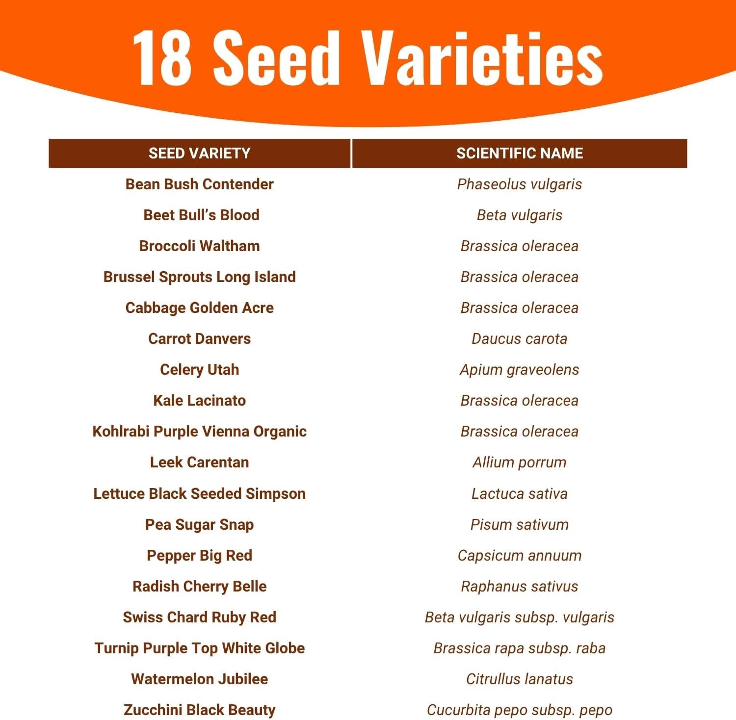 15,000 Heirloom Seeds Non GMO Vegetable and Fruit Seeds for Planting Outdoor & Indoor - 18 Variety Pack of Survival Garden Seeds