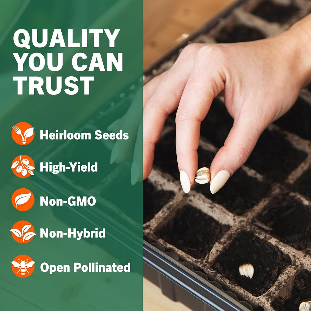 15,000 Heirloom Seeds Non GMO Vegetable and Fruit Seeds for Planting Outdoor & Indoor - 18 Variety Pack of Survival Garden Seeds